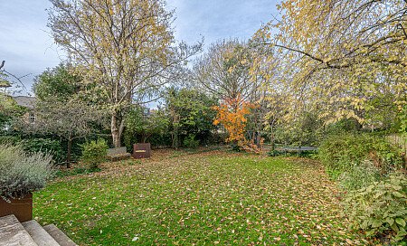 Shrubbery -  filming photoshoot location-17