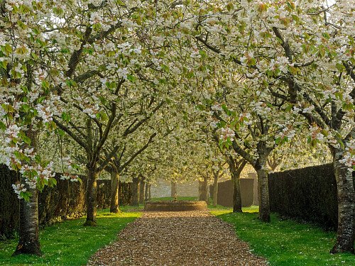 Image for Location 2127