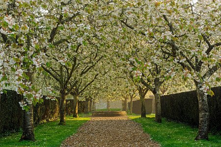 OldHouse -  filming photoshoot location-40