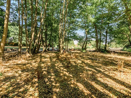 Image for Location 2158