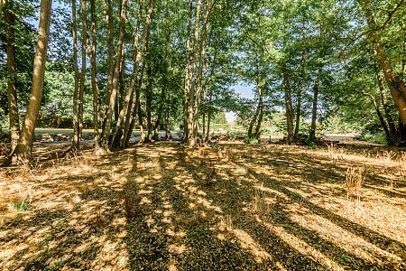 Little Cottage - Filming Locations Locations Direct -36