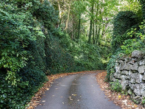 Nean Manor - Filming Locations Locations Direct -089