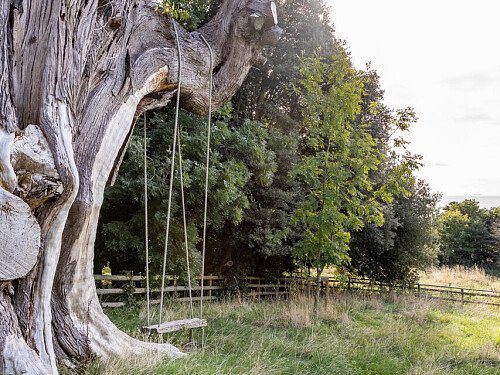 Image for Location 2166