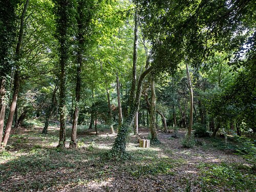 Nean Manor - Filming Locations Locations Direct -119