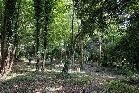 Nean Manor - Filming Locations Locations Direct -119