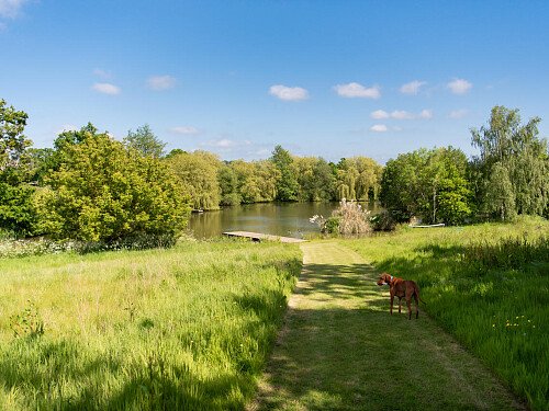 Tunbridge House  - Filming Locations Locations Direct -008