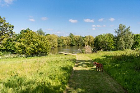 Tunbridge House  - Filming Locations Locations Direct -008