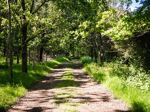 Image for Location 2173