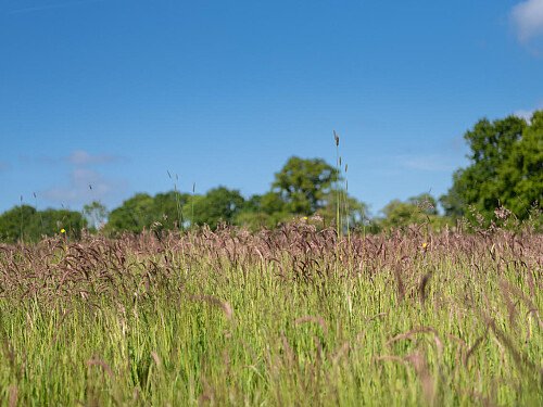Tunbridge House  - Filming Locations Locations Direct -068