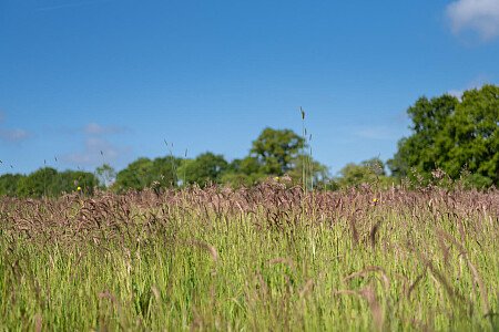 Tunbridge House  - Filming Locations Locations Direct -068
