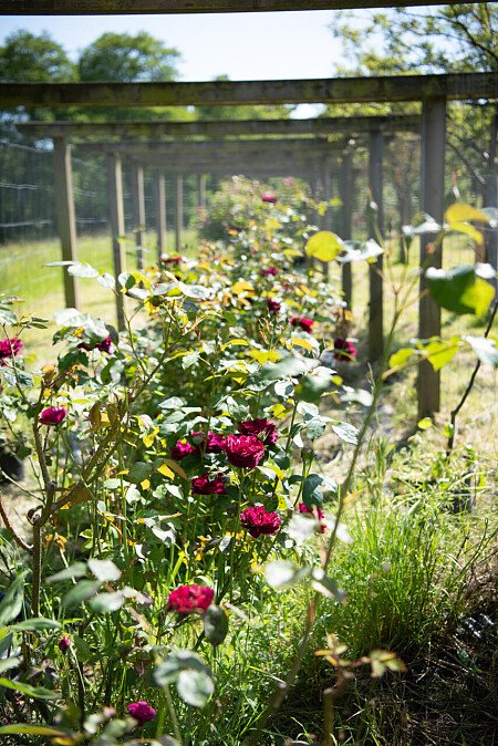 Tunbridge House  - Filming Locations Locations Direct -071