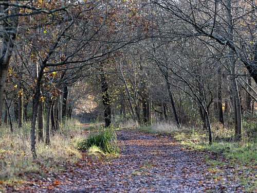 Tunbridge House  - Filming Locations Locations Direct -115