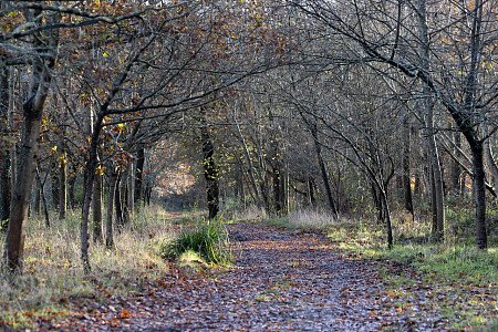 Tunbridge House  - Filming Locations Locations Direct -115