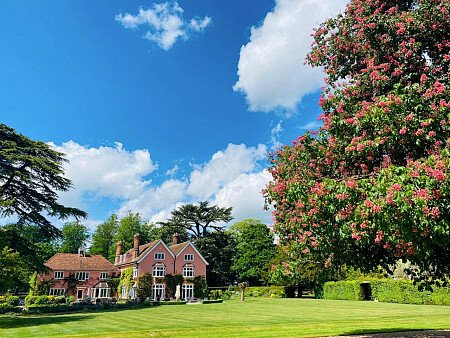 Pink House - Filming Locations Locations Direct -15