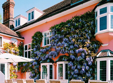 Pink House - Filming Locations Locations Direct -29