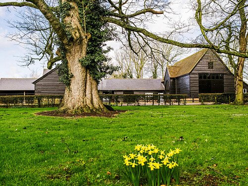 Image for Location 2180