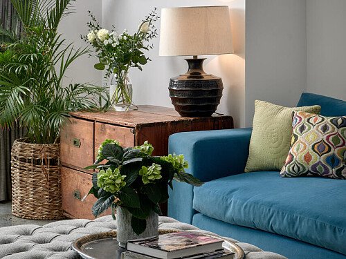 Treetop House - Filming Locations Locations Direct -21