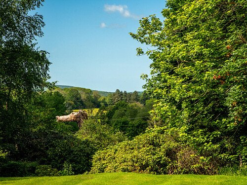 Treetop House - Filming Locations Locations Direct -63