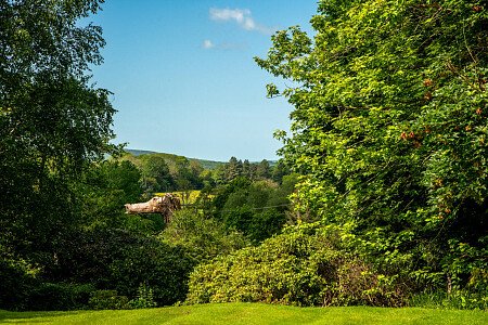 Treetop House - Filming Locations Locations Direct -63