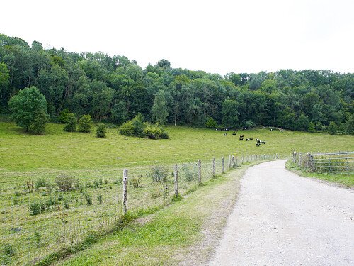 Mansion Old - Filming Locations Locations Direct -73