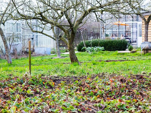 Big Greenhouse - Filming Locations Locations Direct -17