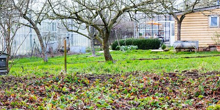 Big Greenhouse - Filming Locations Locations Direct -17