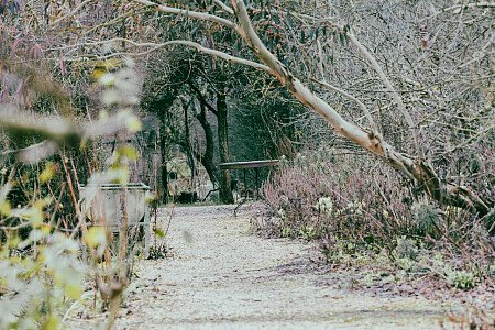 Big Greenhouse - Filming Locations Locations Direct -21