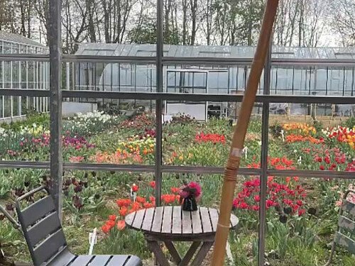 Big Greenhouse - Filming Locations Locations Direct -26