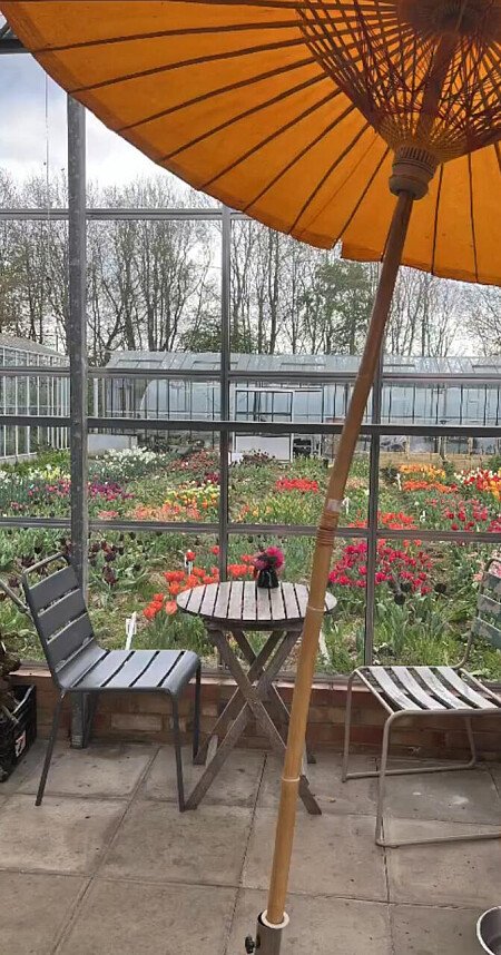 Big Greenhouse - Filming Locations Locations Direct -26