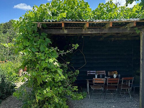 Big Greenhouse - Filming Locations Locations Direct -28