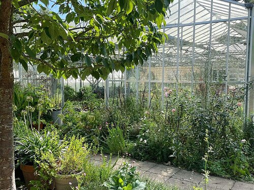 Image for Location 2194