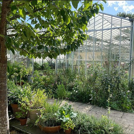 Big Greenhouse - Filming Locations Locations Direct -27