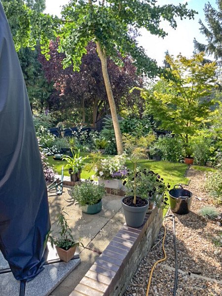 Roof top with view house- Filming Locations Locations Direct -18