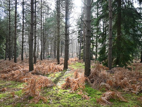 Image for Location 1949