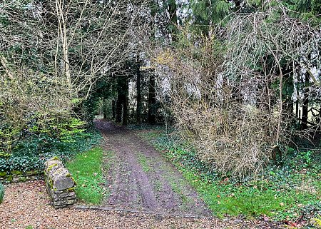 Traditional country house - Filming Locations Locations Direct -31