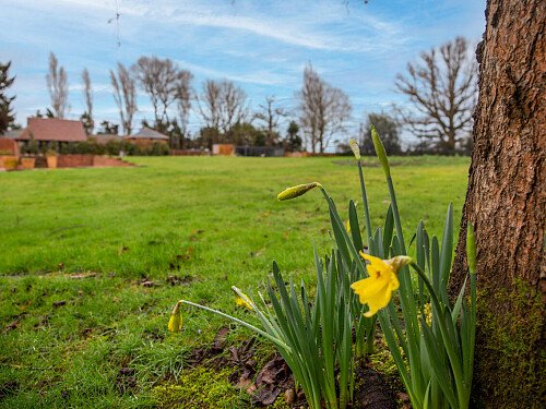 Gold fireplace - Filming Locations Locations Direct -34