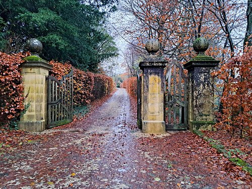 Natural wooden flooring  - Filming Locations Locations Direct -08