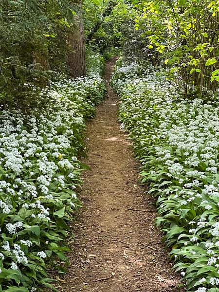 Natural wooden flooring  - Filming Locations Locations Direct -22