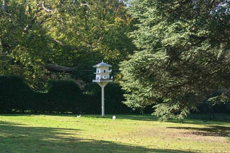 Colourful period round driveway-20