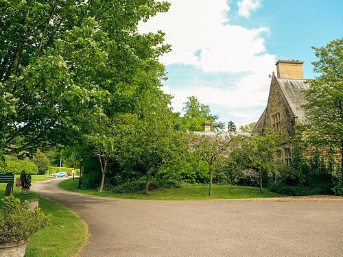 Patterned ceiling - Filming Locations Locations Direct -17