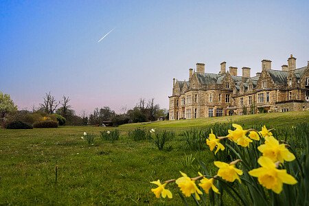 Patterned ceiling - Filming Locations Locations Direct -21