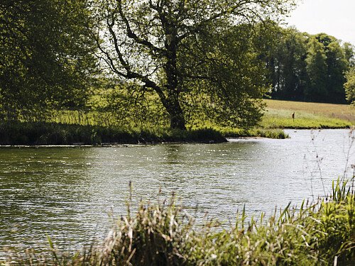 Patterned ceiling - Filming Locations Locations Direct -22