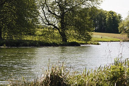 Patterned ceiling - Filming Locations Locations Direct -22