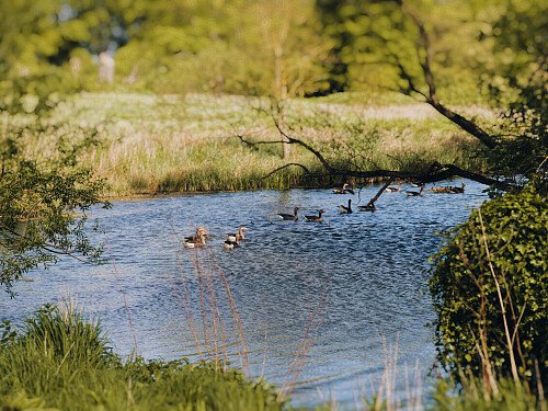 Patterned ceiling - Filming Locations Locations Direct -24