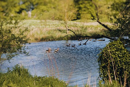 Patterned ceiling - Filming Locations Locations Direct -24