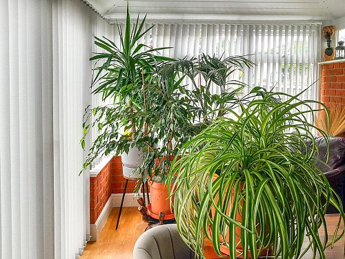 Beachor House - Filming Locations Locations Direct -19