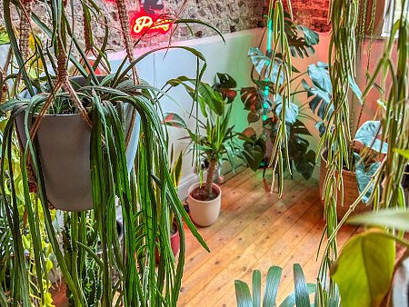 Rock Apt - Filming Locations Locations Direct -34