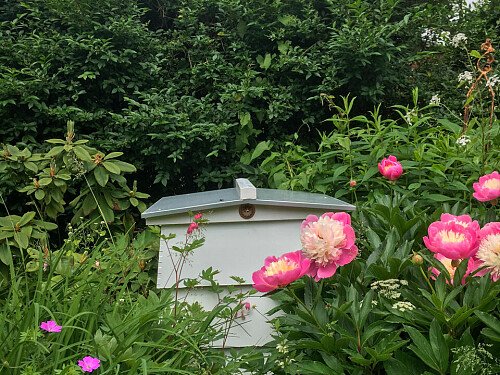 Grays - Filming Locations Locations Direct -33