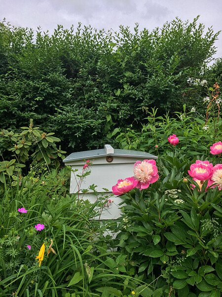 Grays - Filming Locations Locations Direct -33