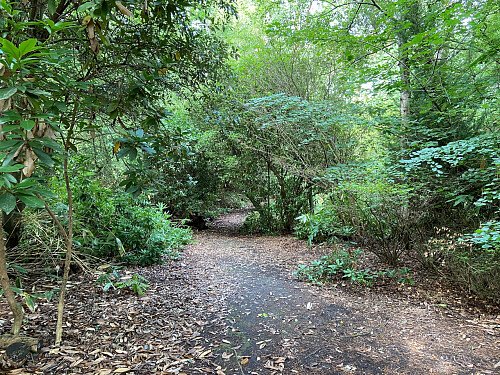 Image for Location 1948